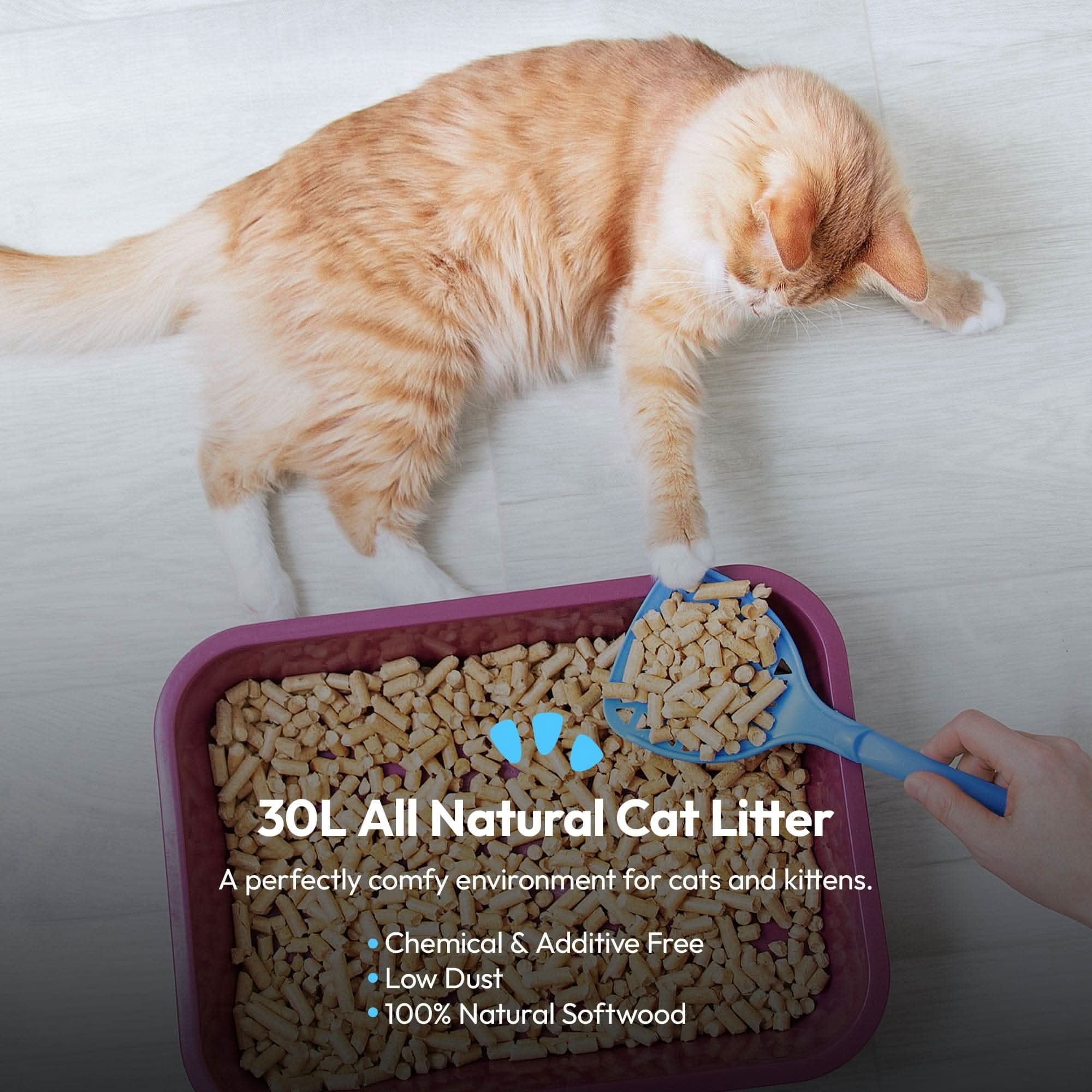 30L Cat Litter - Wood Pellet Based, Ultra-Absorbent, Non-Clumping, No Chemicals - Image 8
