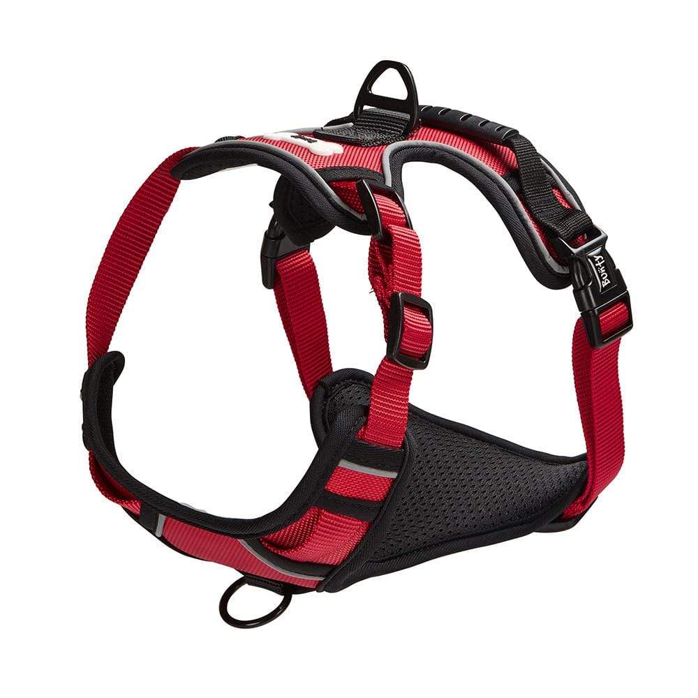 Bunty Adventure Harness - Image 10