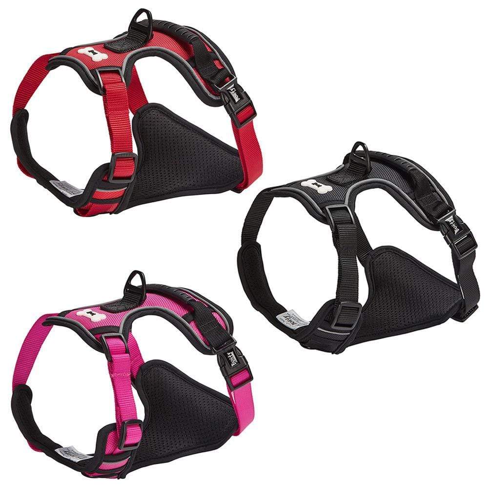 Bunty Adventure Harness - Image 15