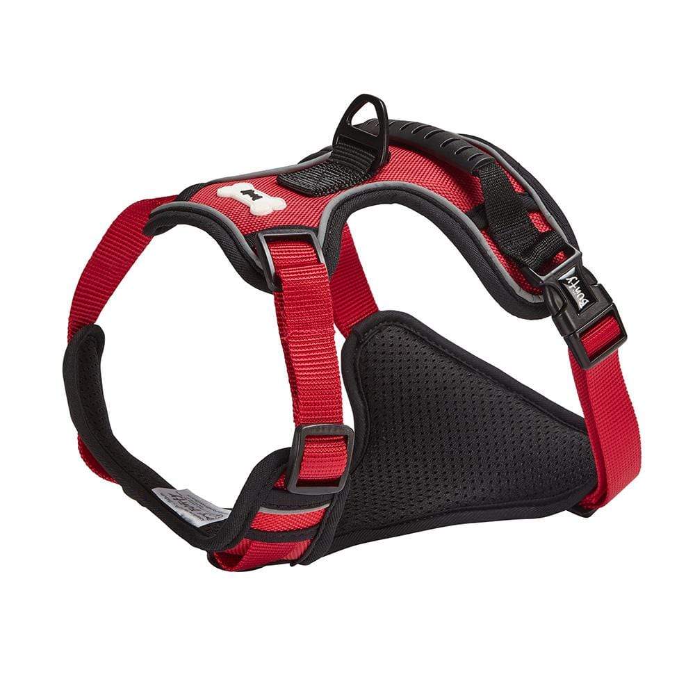 Bunty Adventure Harness - Image 27
