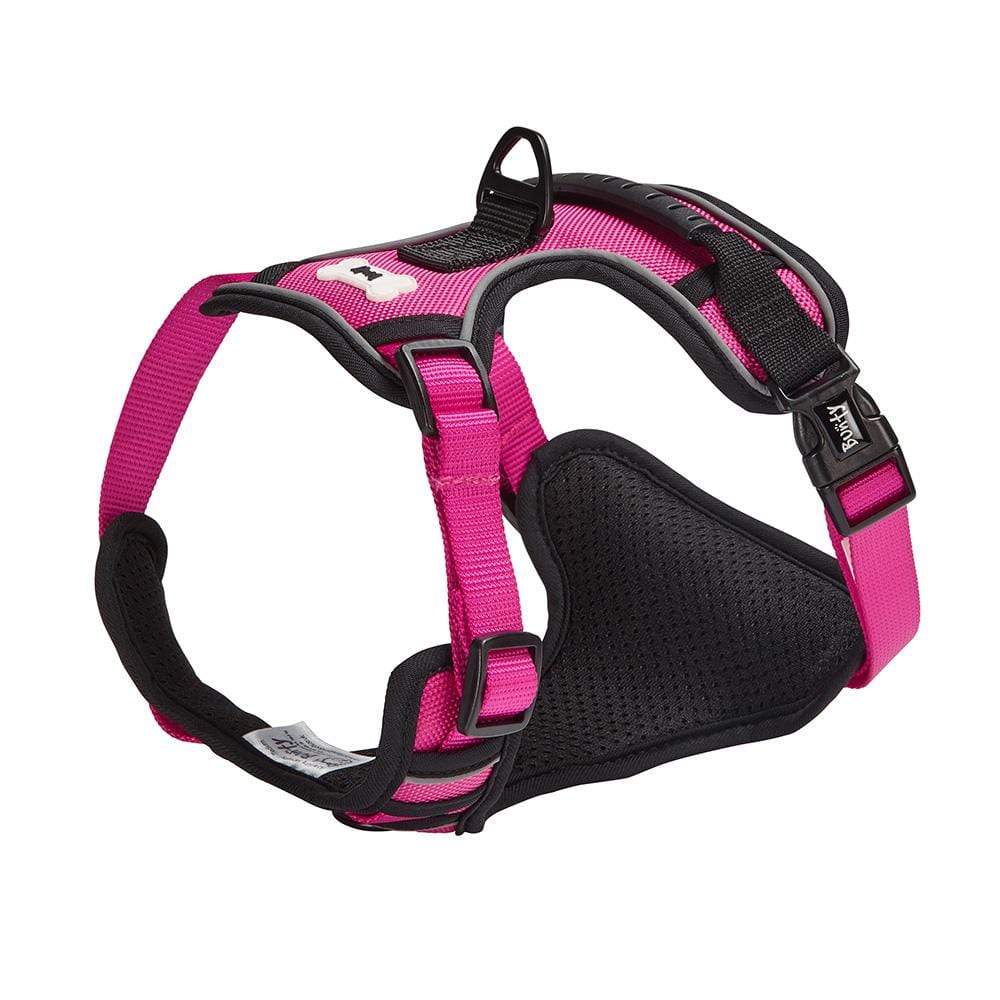 Bunty Adventure Harness - Image 7