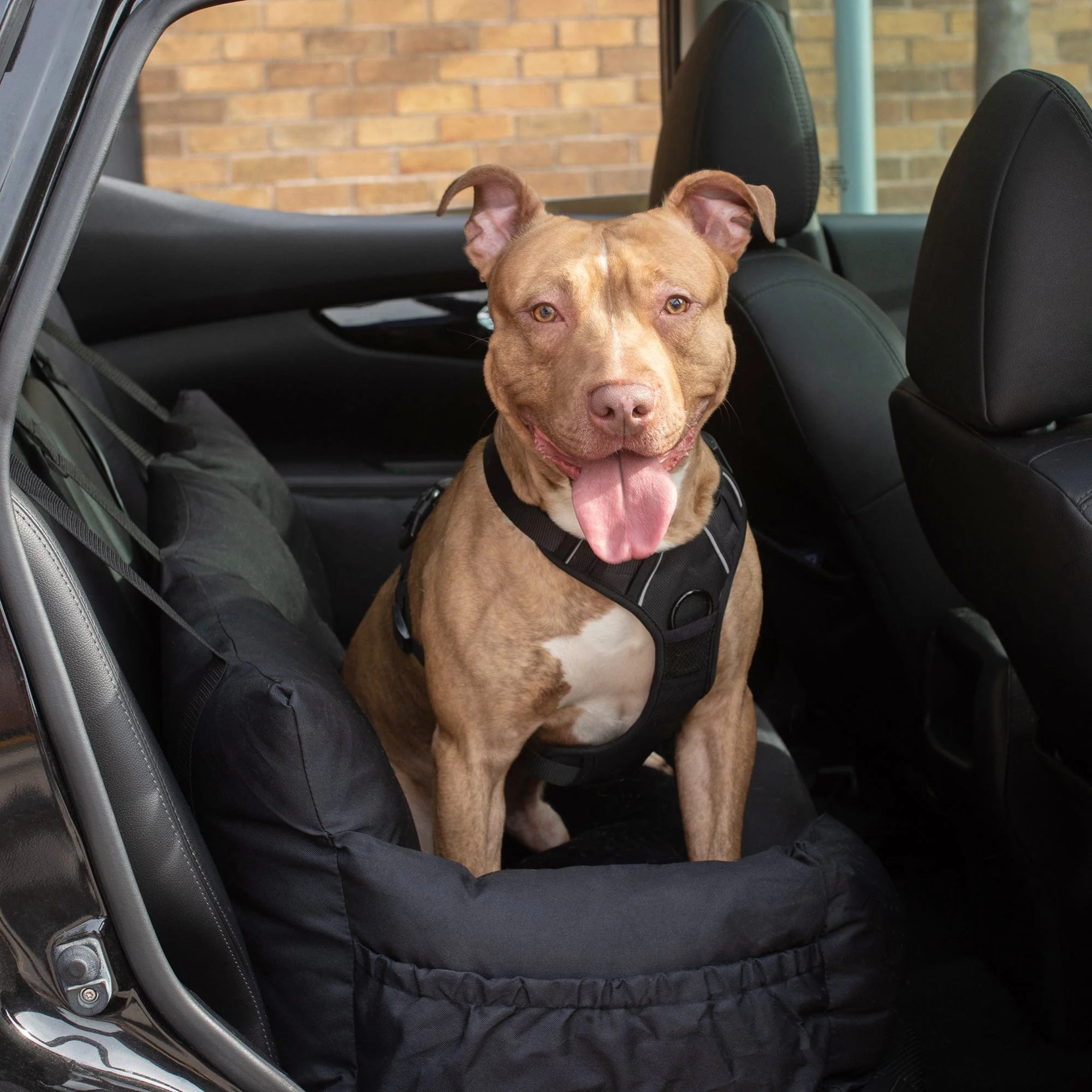 Bunty Bark & Ride Travel Bed - Image 2