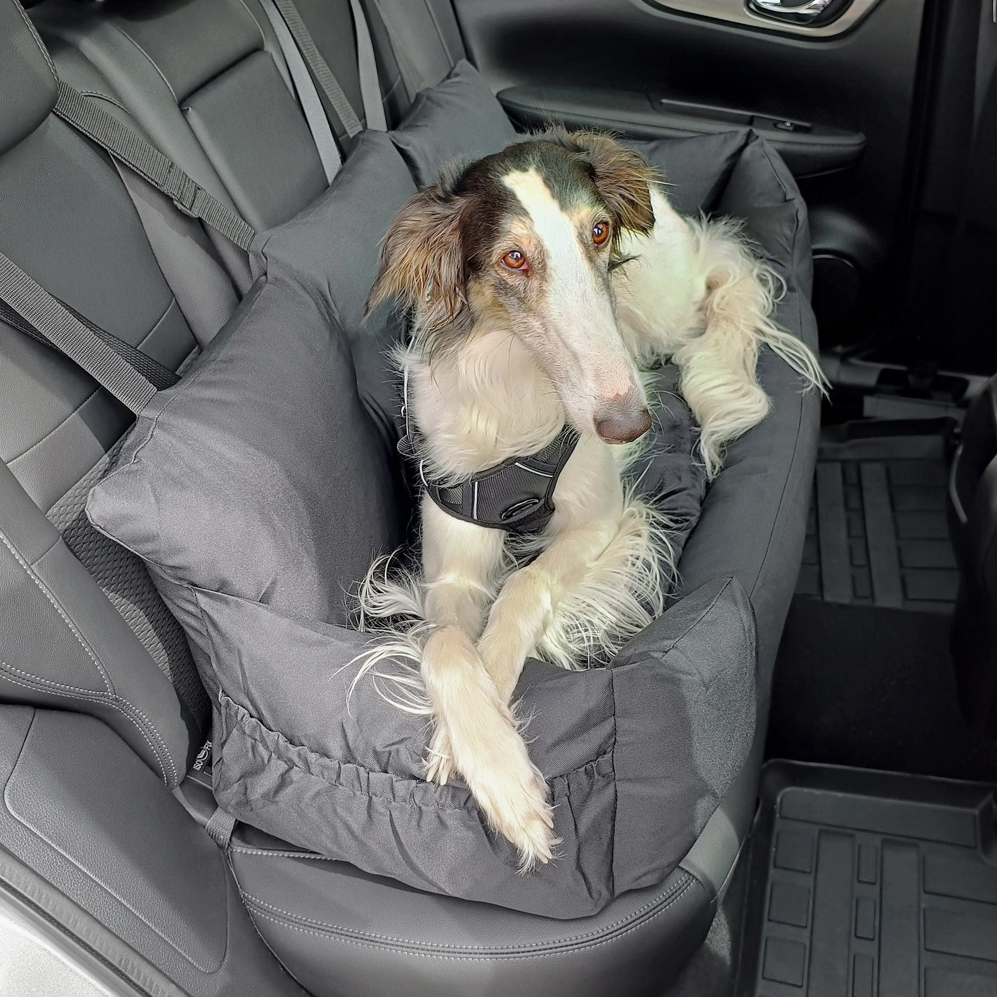 Bunty Bark & Ride Travel Bed - Image 3