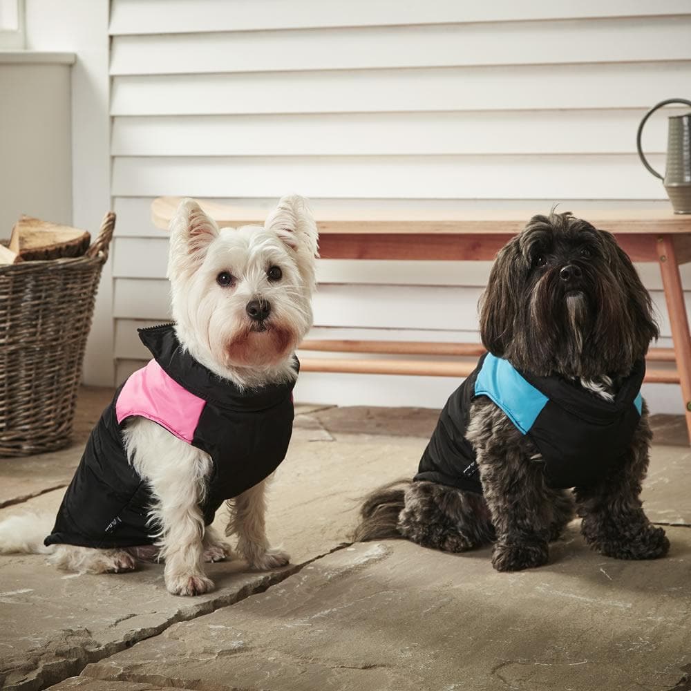 Dog Puffer Jacket - Bunty - Image 15