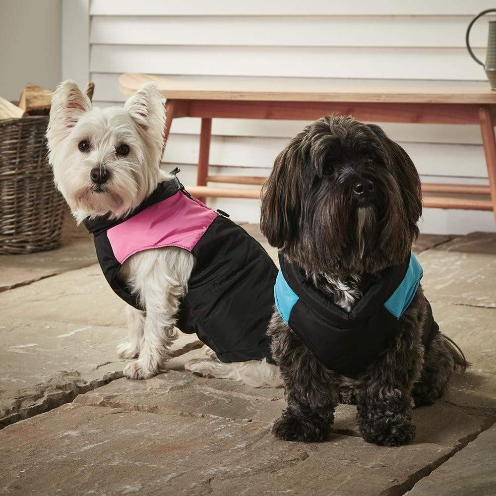 Dog Puffer Jacket - Bunty - Image 5
