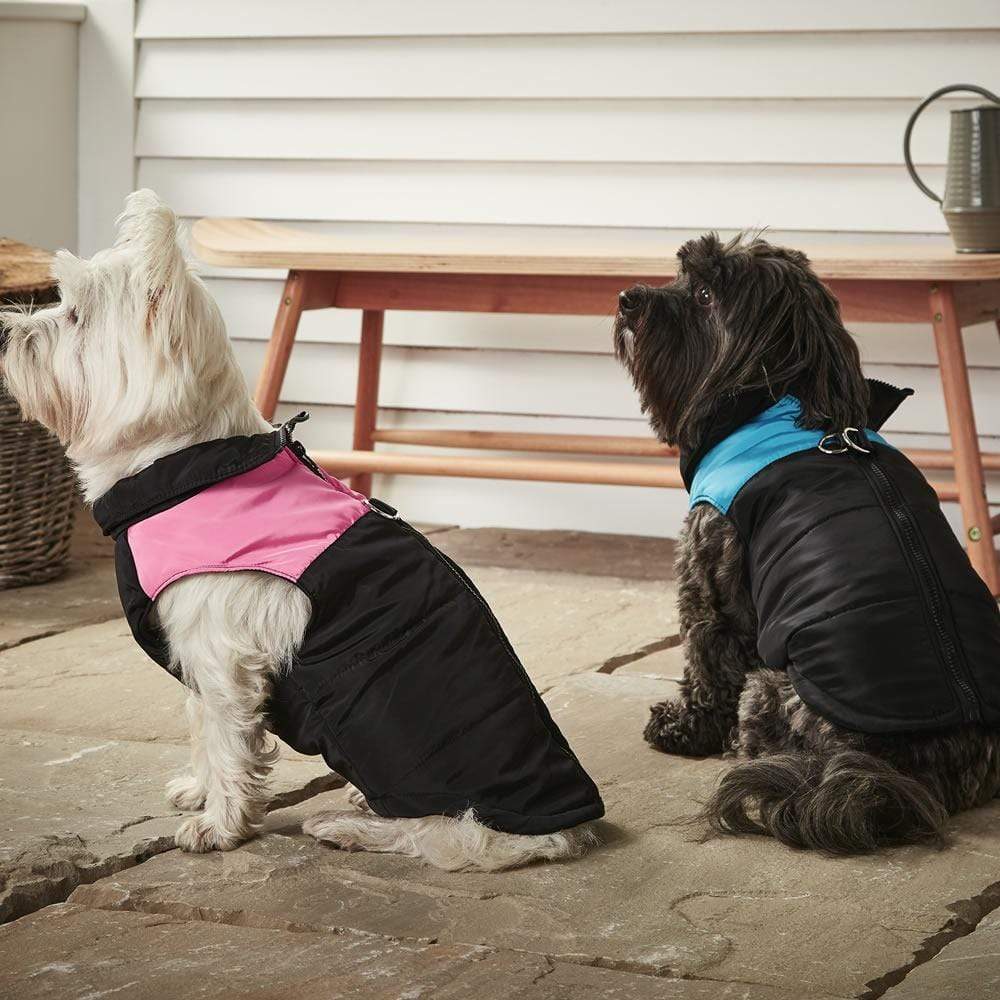 Dog Puffer Jacket - Bunty - Image 6