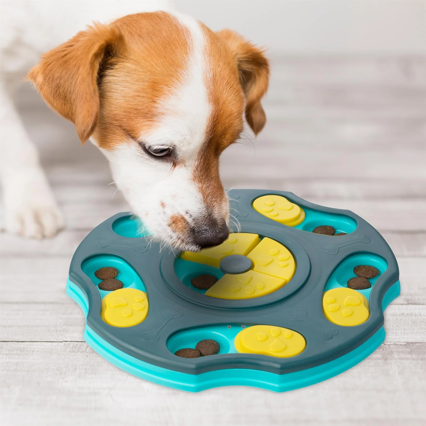 Bunty Dog Puzzle Toy - Image 17