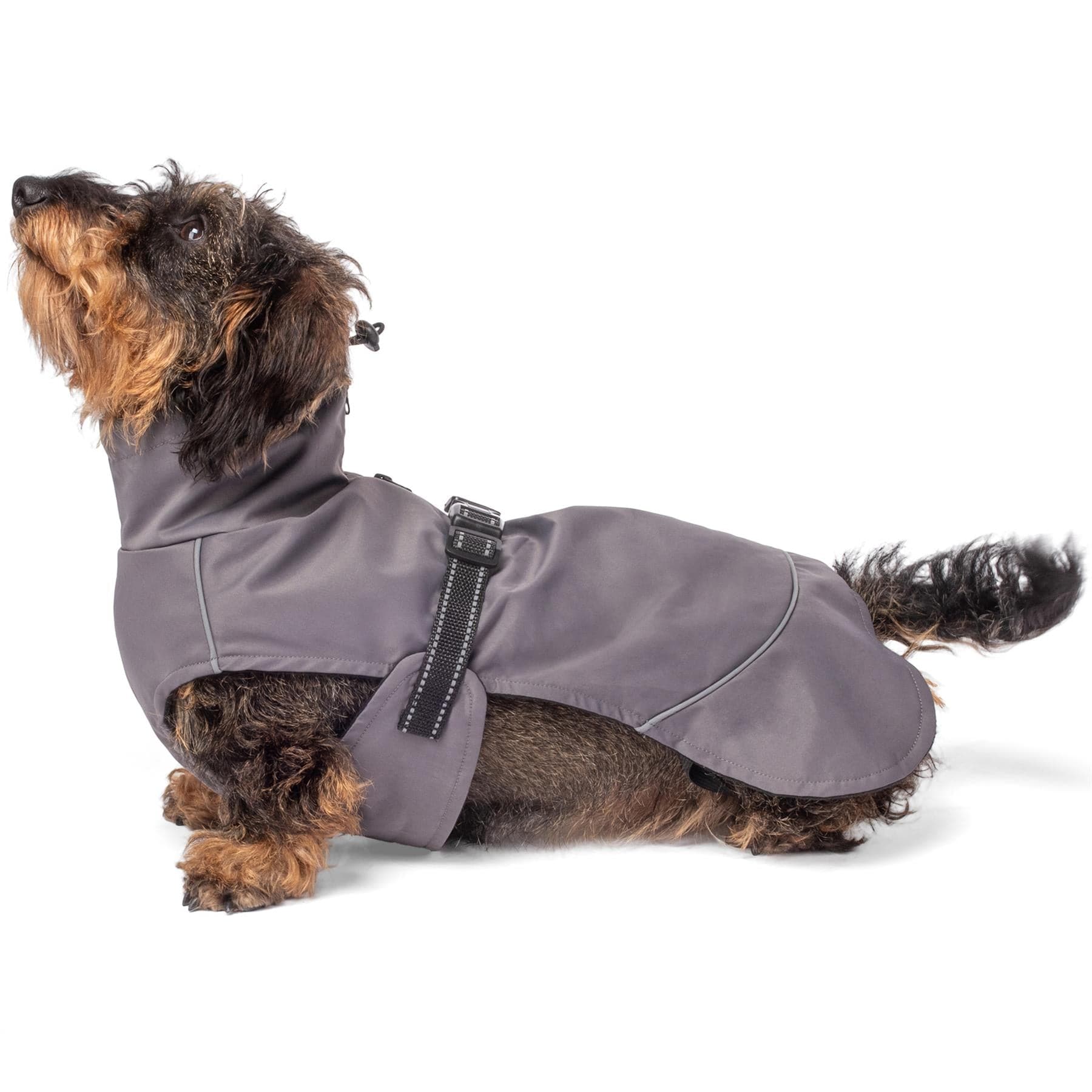 Bunty DownPaw Jacket - Image 10