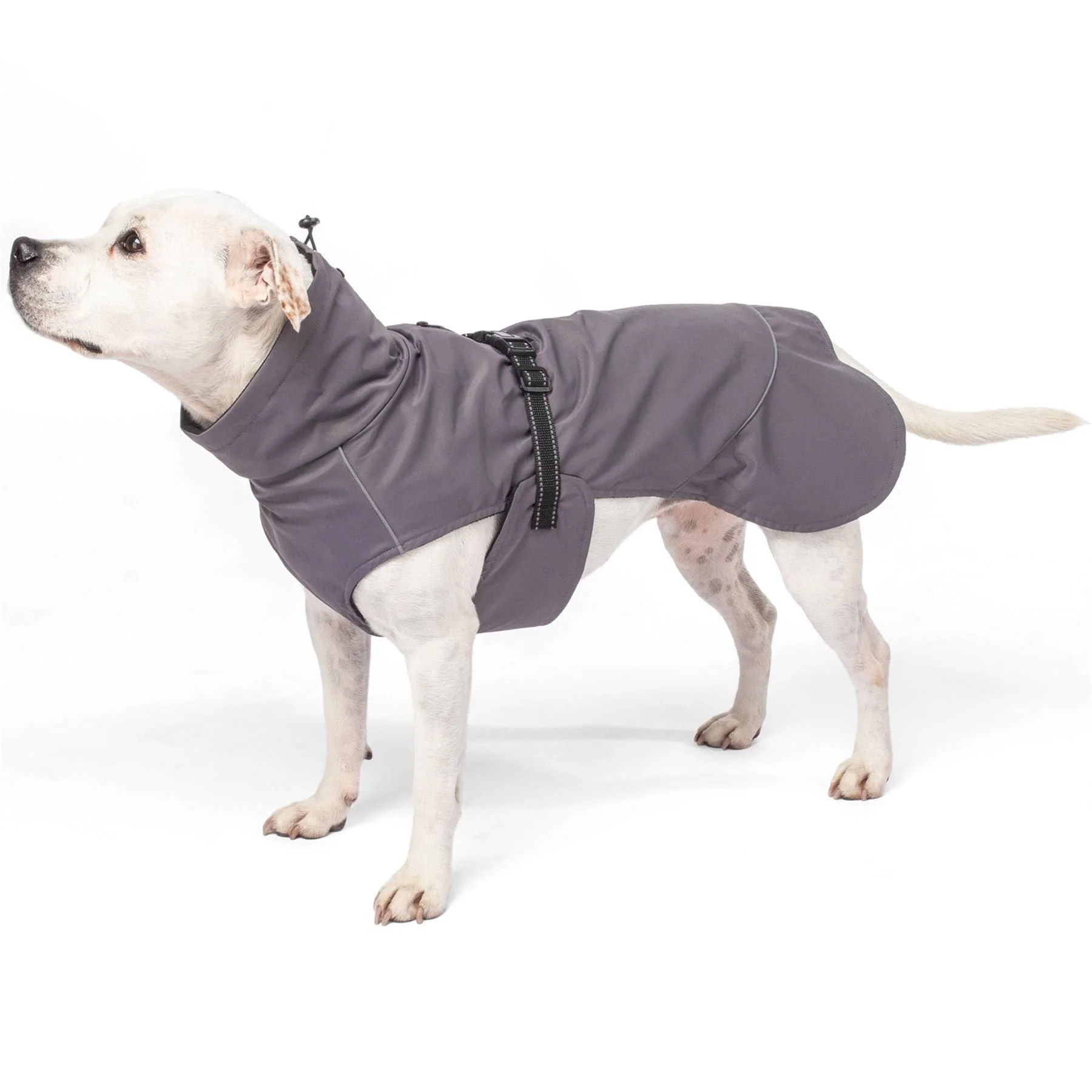 Bunty DownPaw Jacket - Image 14