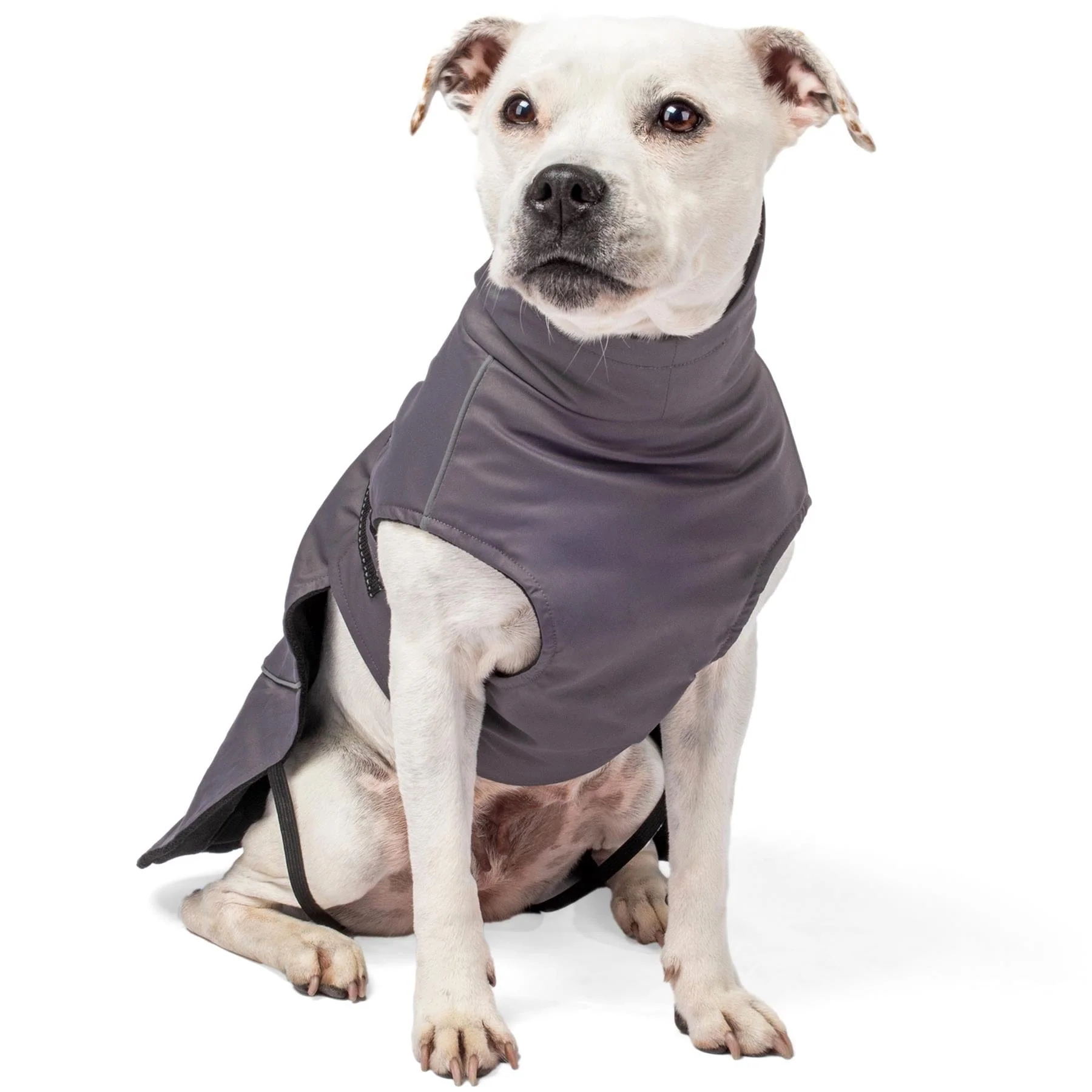 Bunty DownPaw Jacket - Image 15