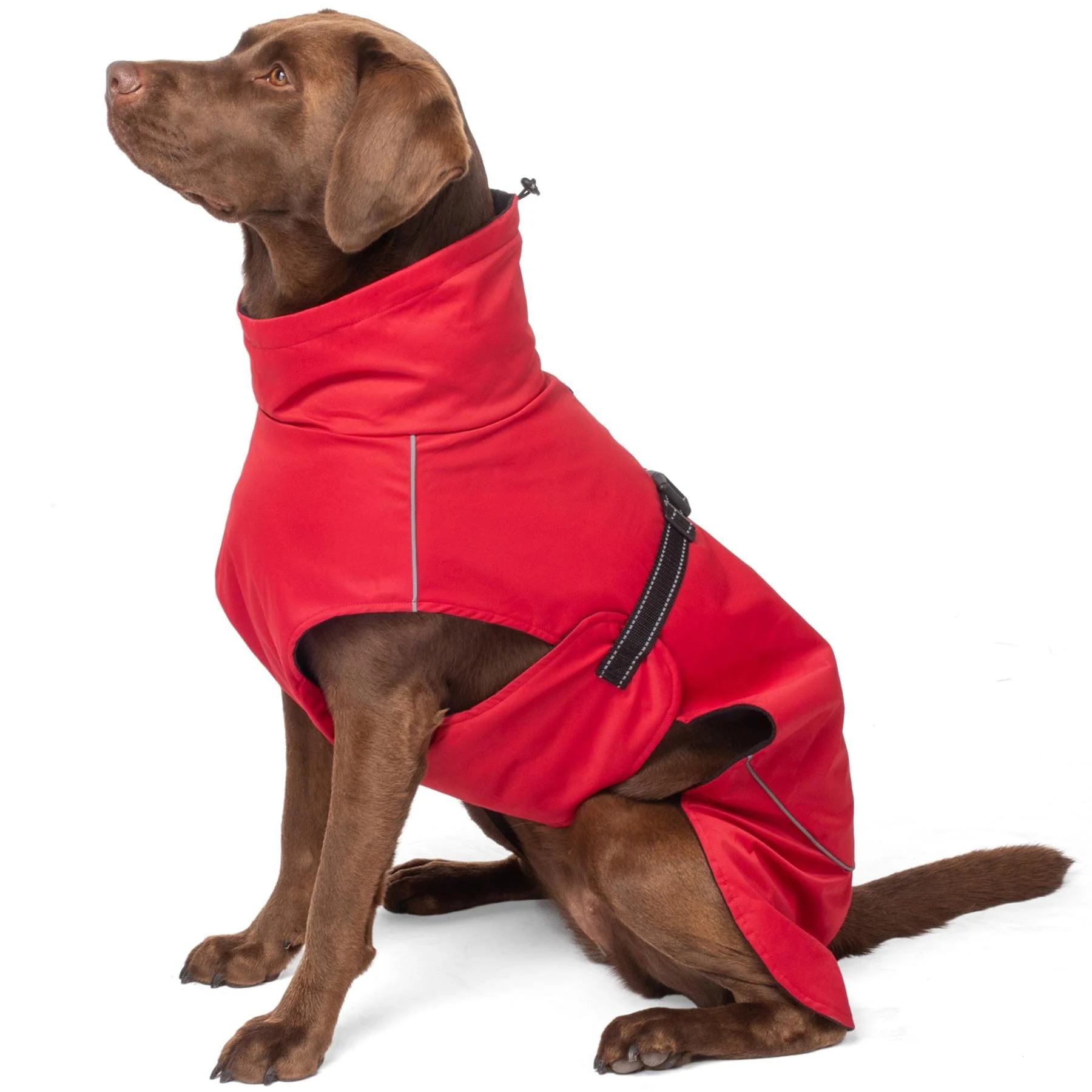 Bunty DownPaw Jacket - Image 18