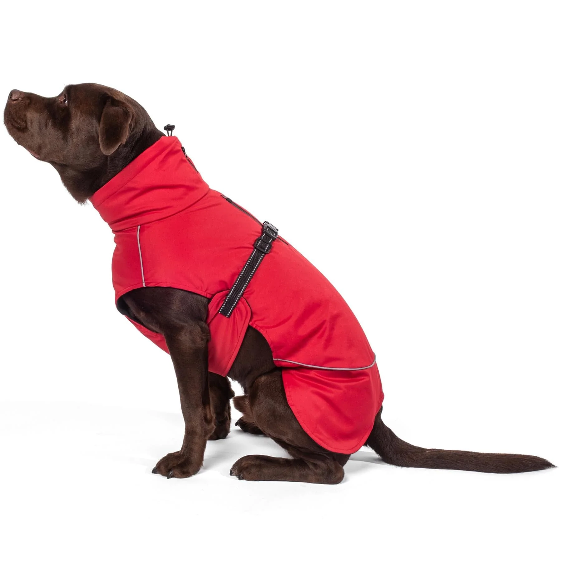 Bunty DownPaw Jacket - Image 19