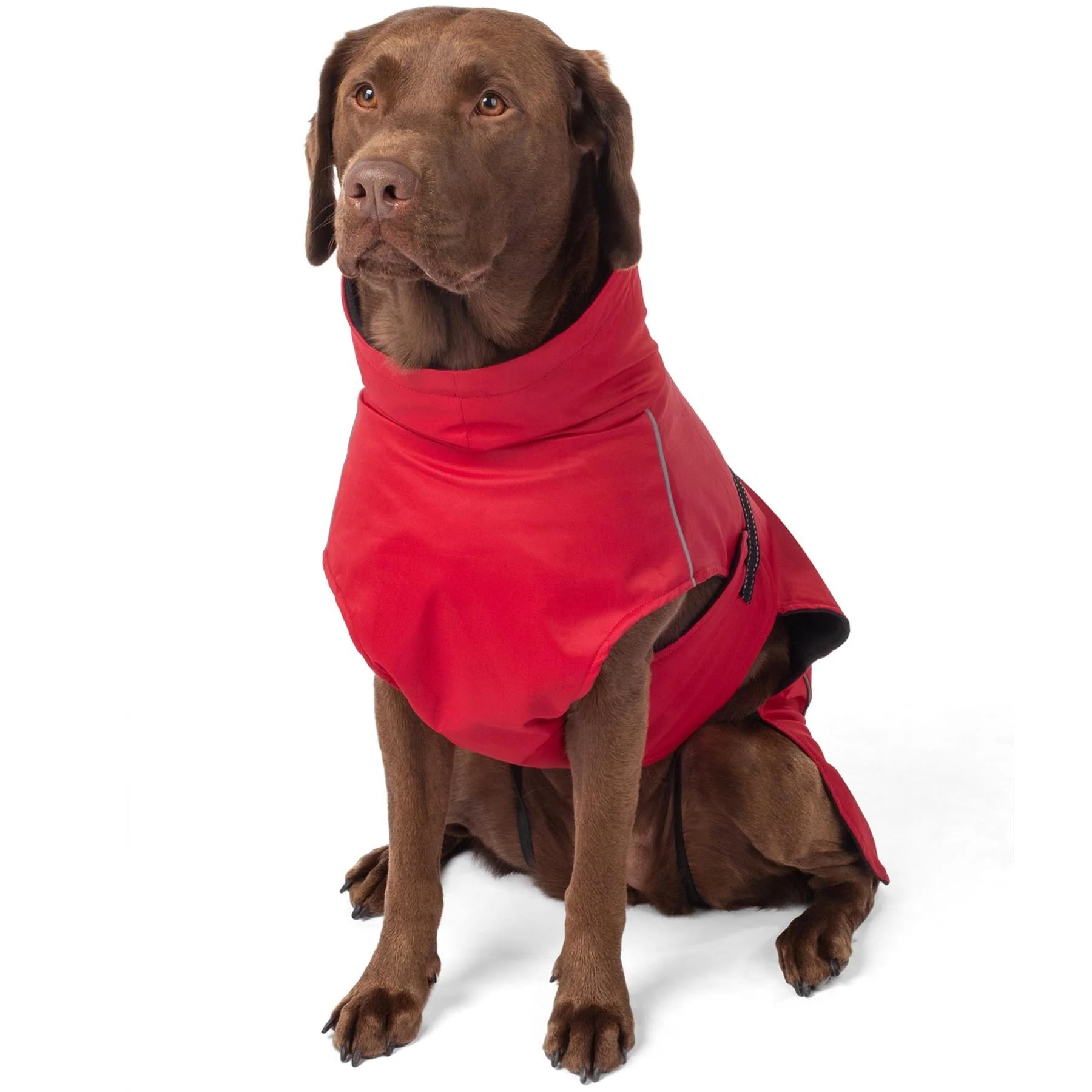 Bunty DownPaw Jacket - Image 20