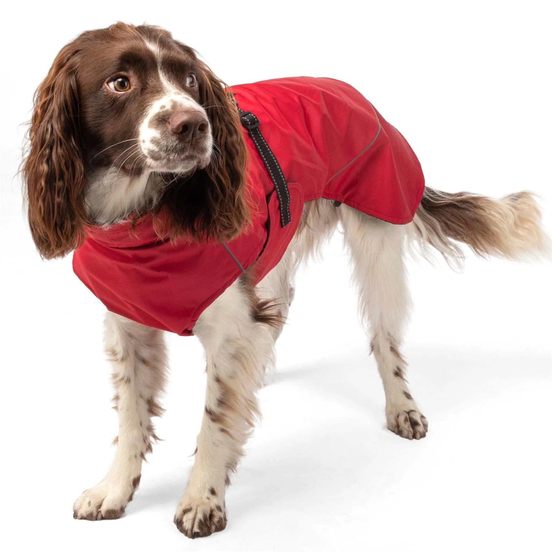 Bunty DownPaw Jacket - Image 22