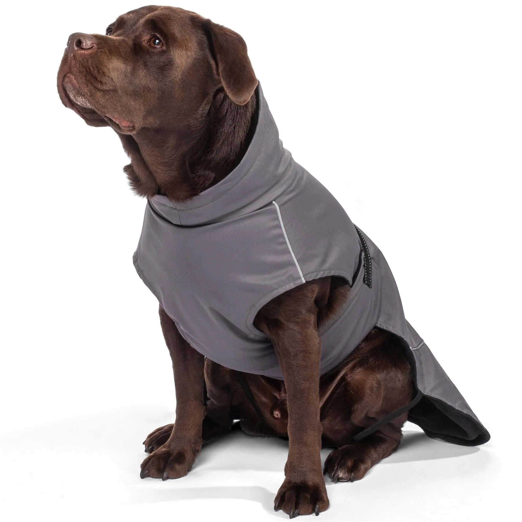 Bunty DownPaw Jacket - Image 24