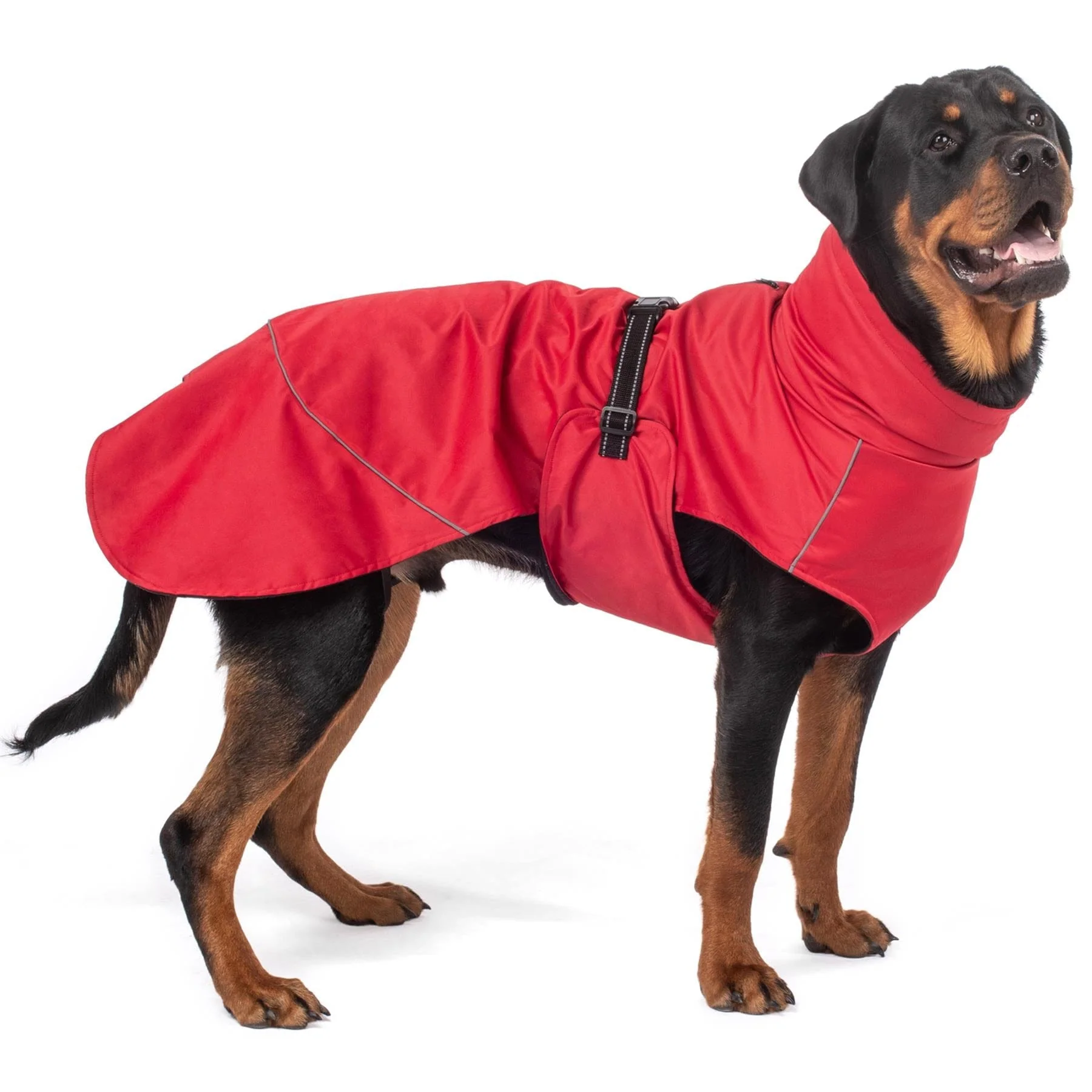 Bunty DownPaw Jacket - Image 25