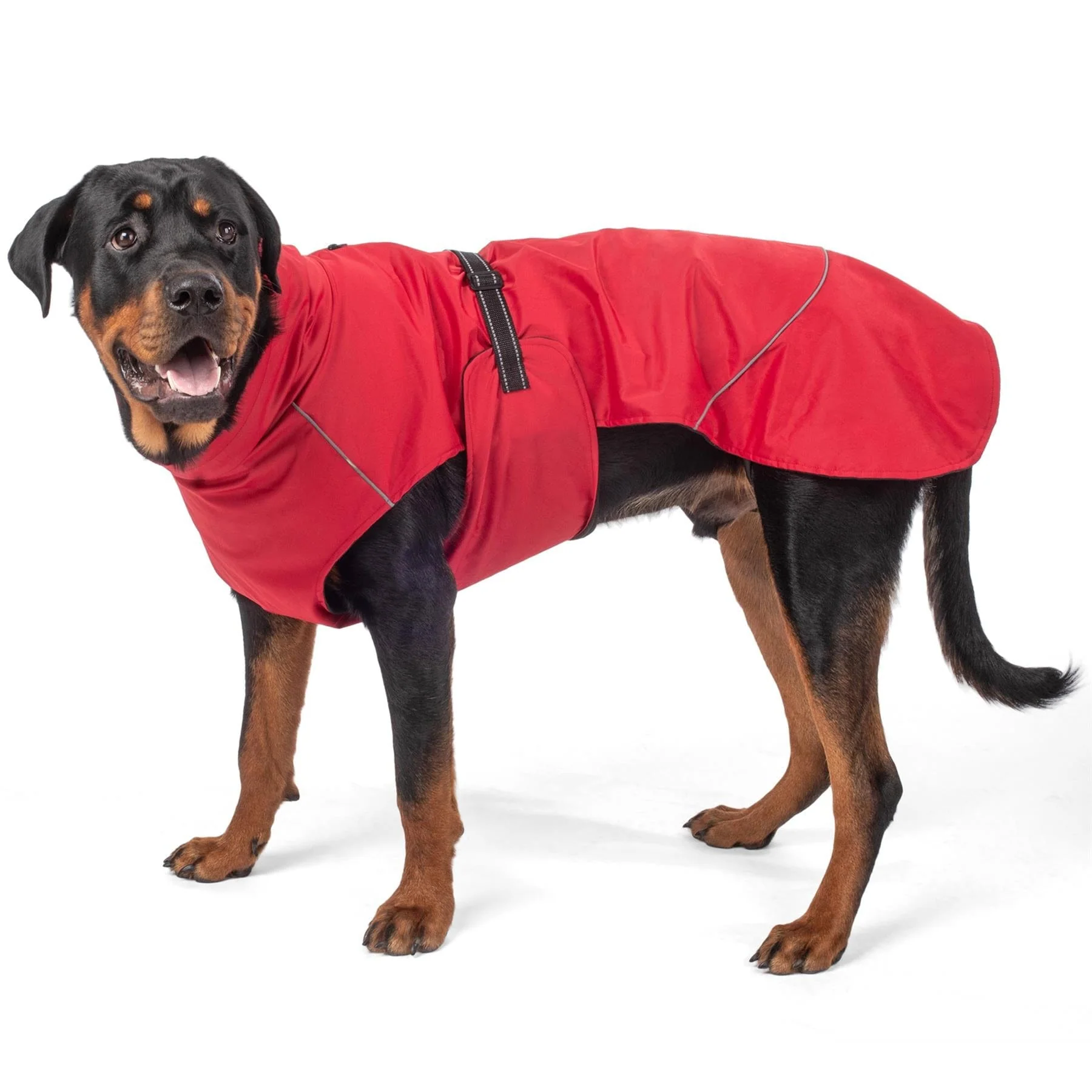 Bunty DownPaw Jacket - Image 26
