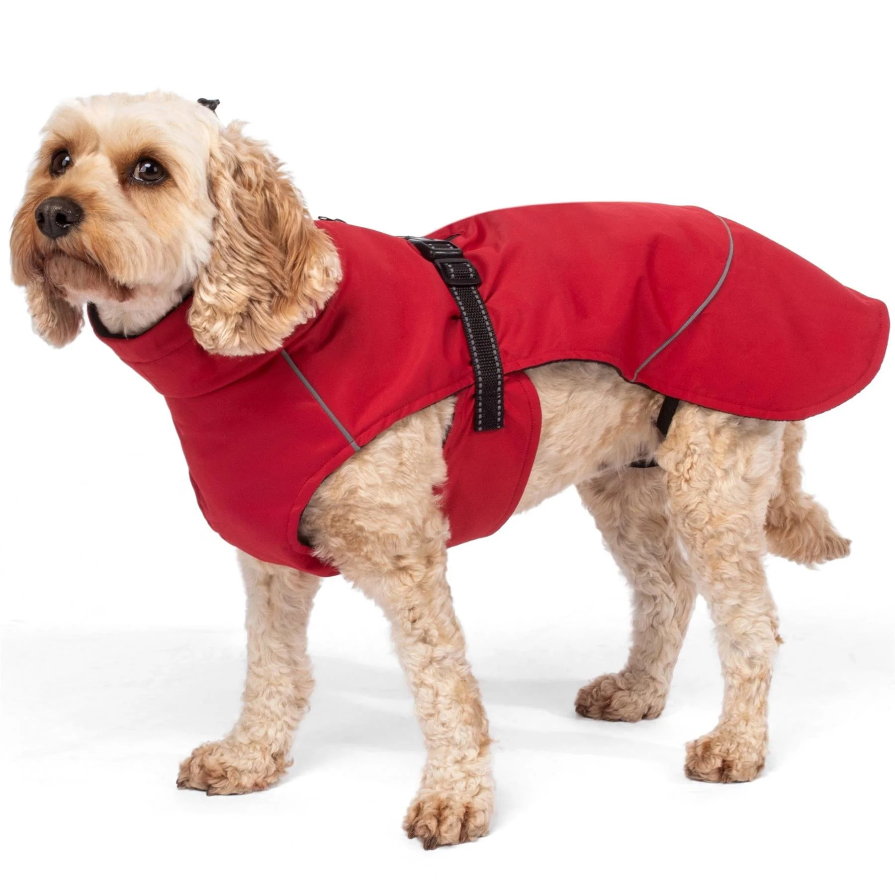 Bunty DownPaw Jacket - Image 28