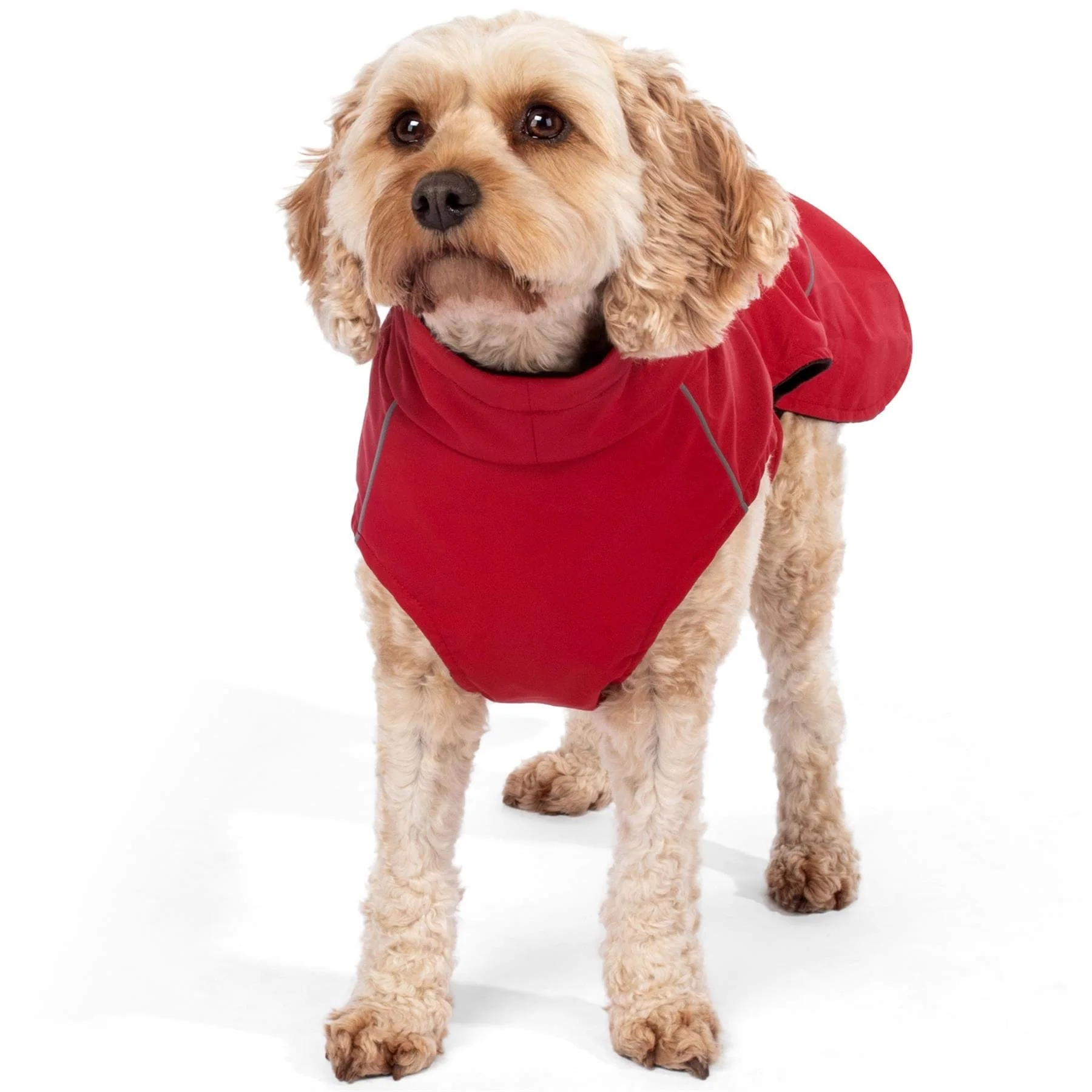Bunty DownPaw Jacket - Image 29