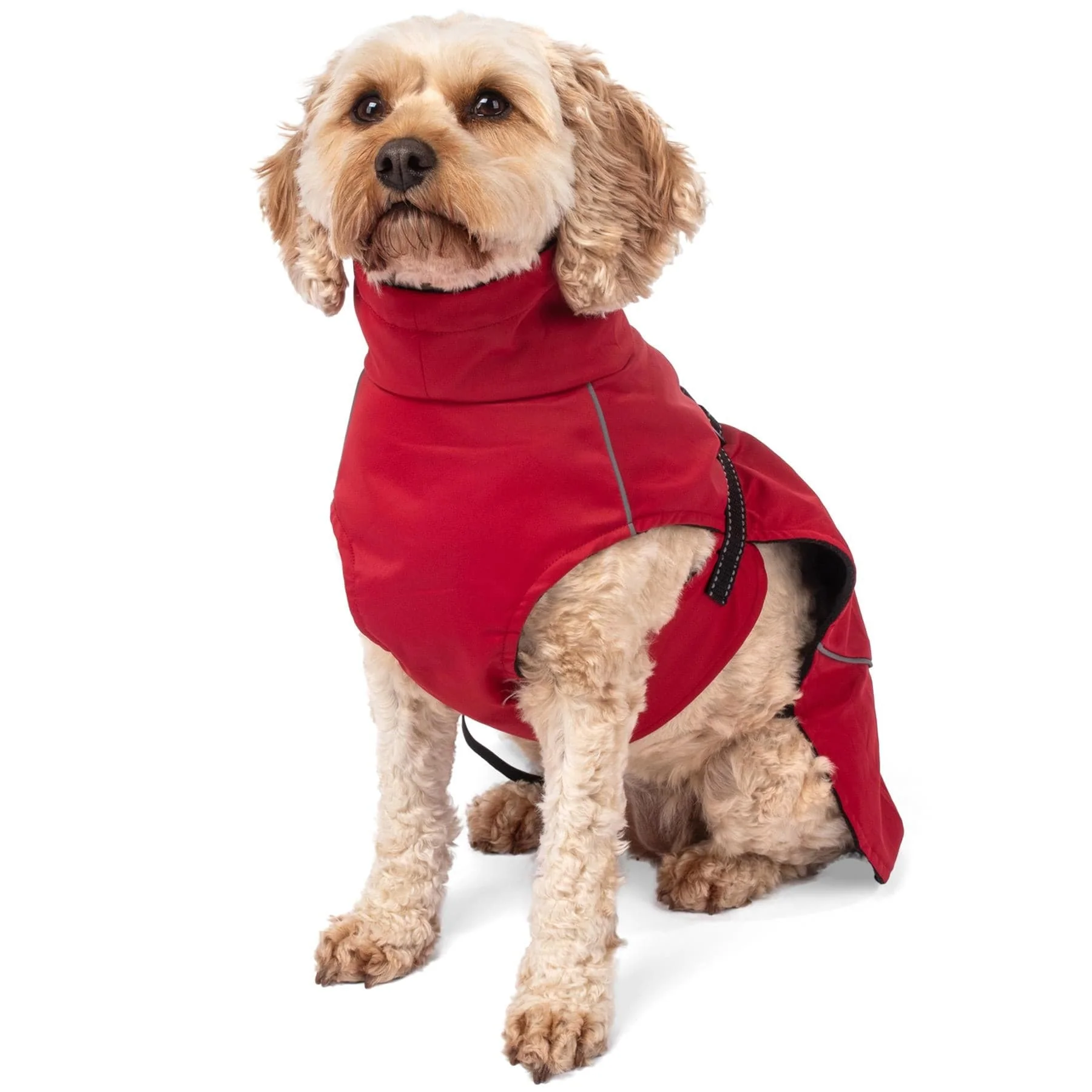 Bunty DownPaw Jacket - Image 30