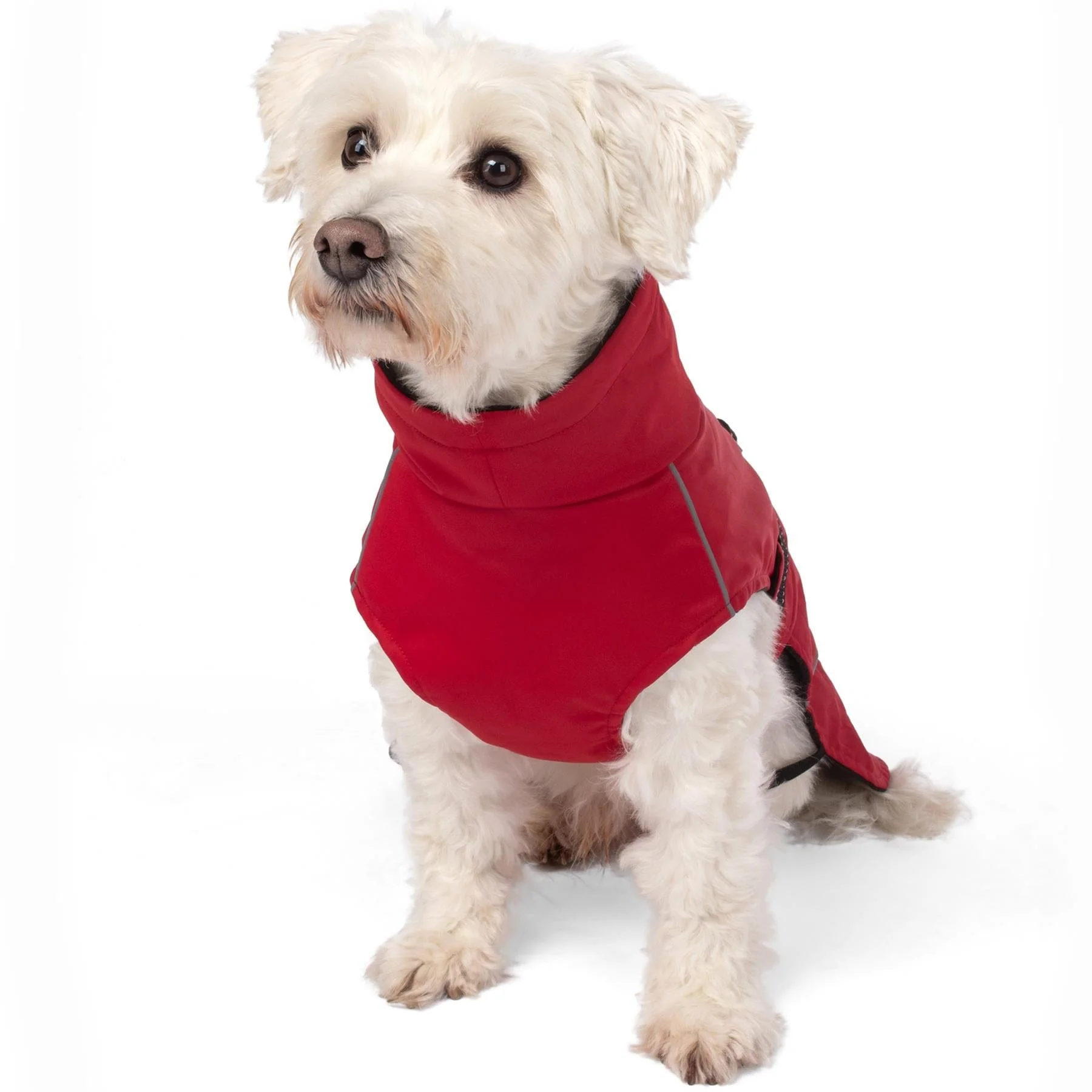 Bunty DownPaw Jacket - Image 31