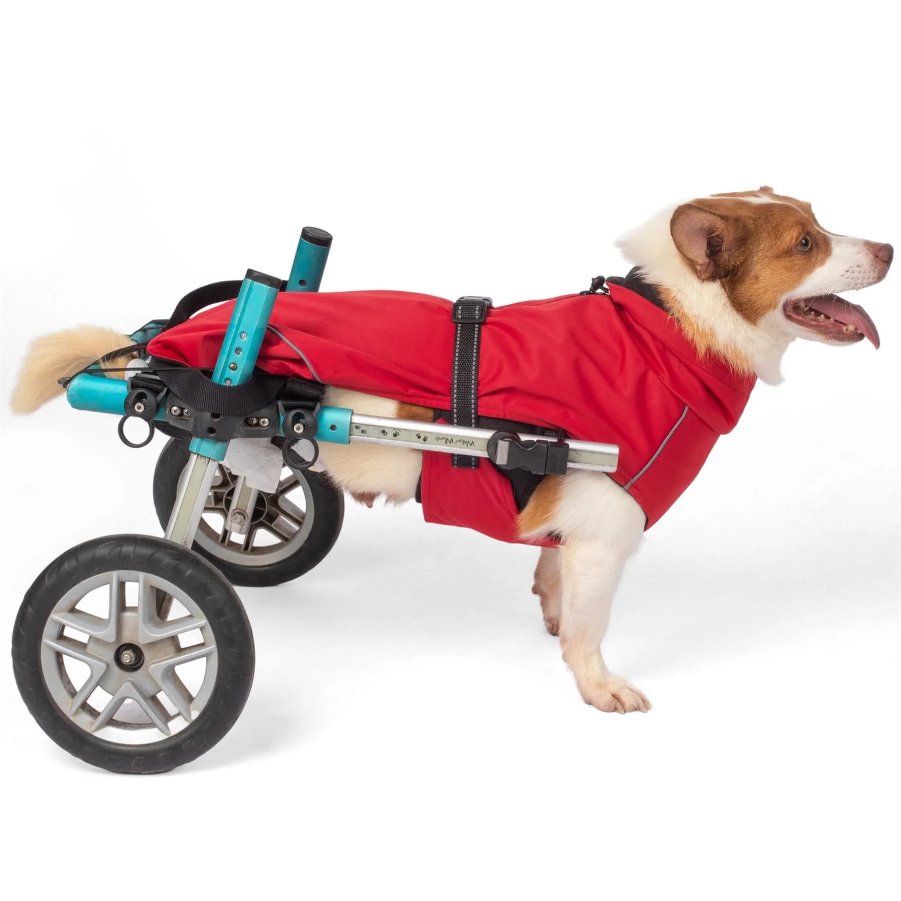 Bunty DownPaw Jacket - Image 35