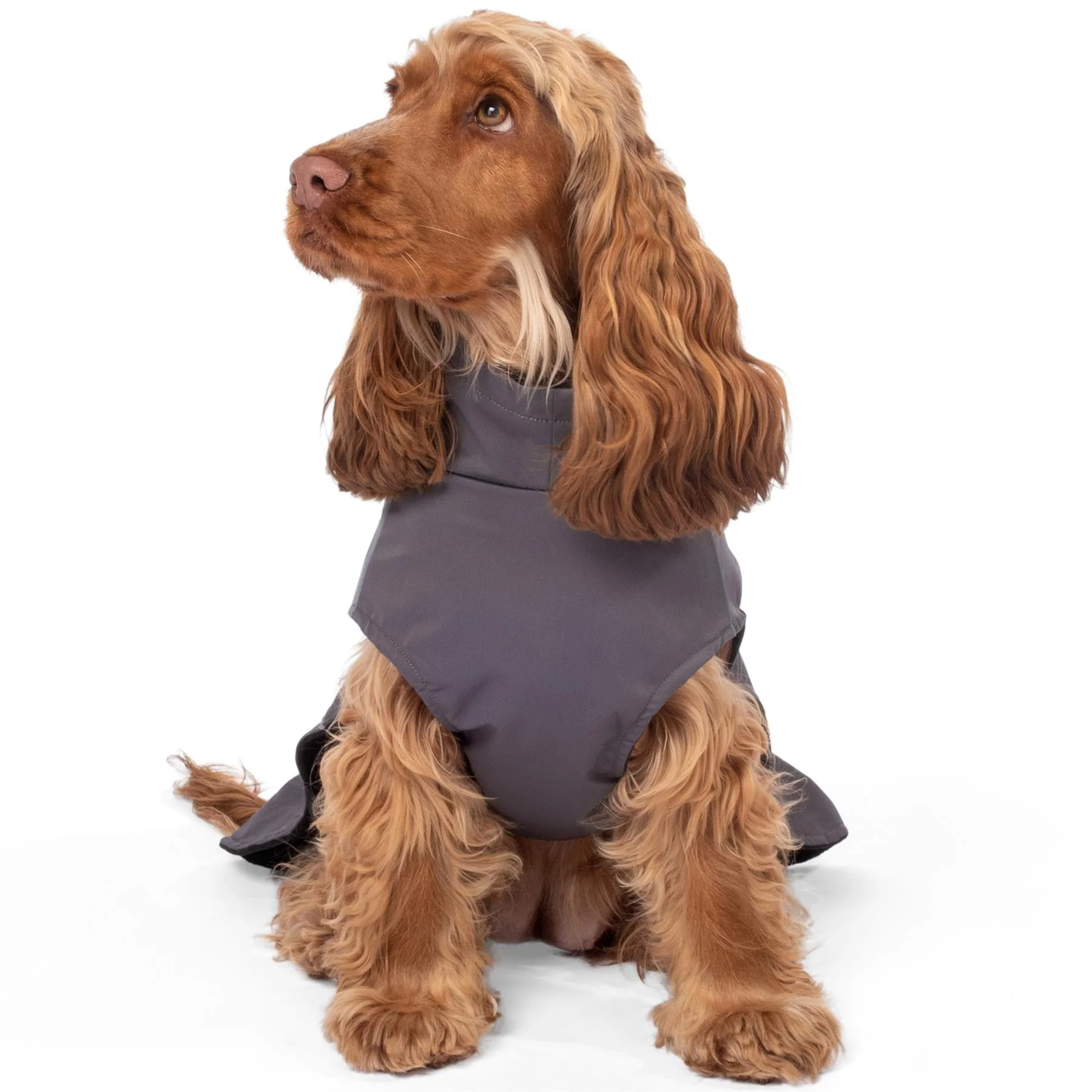 Bunty DownPaw Jacket - Image 5