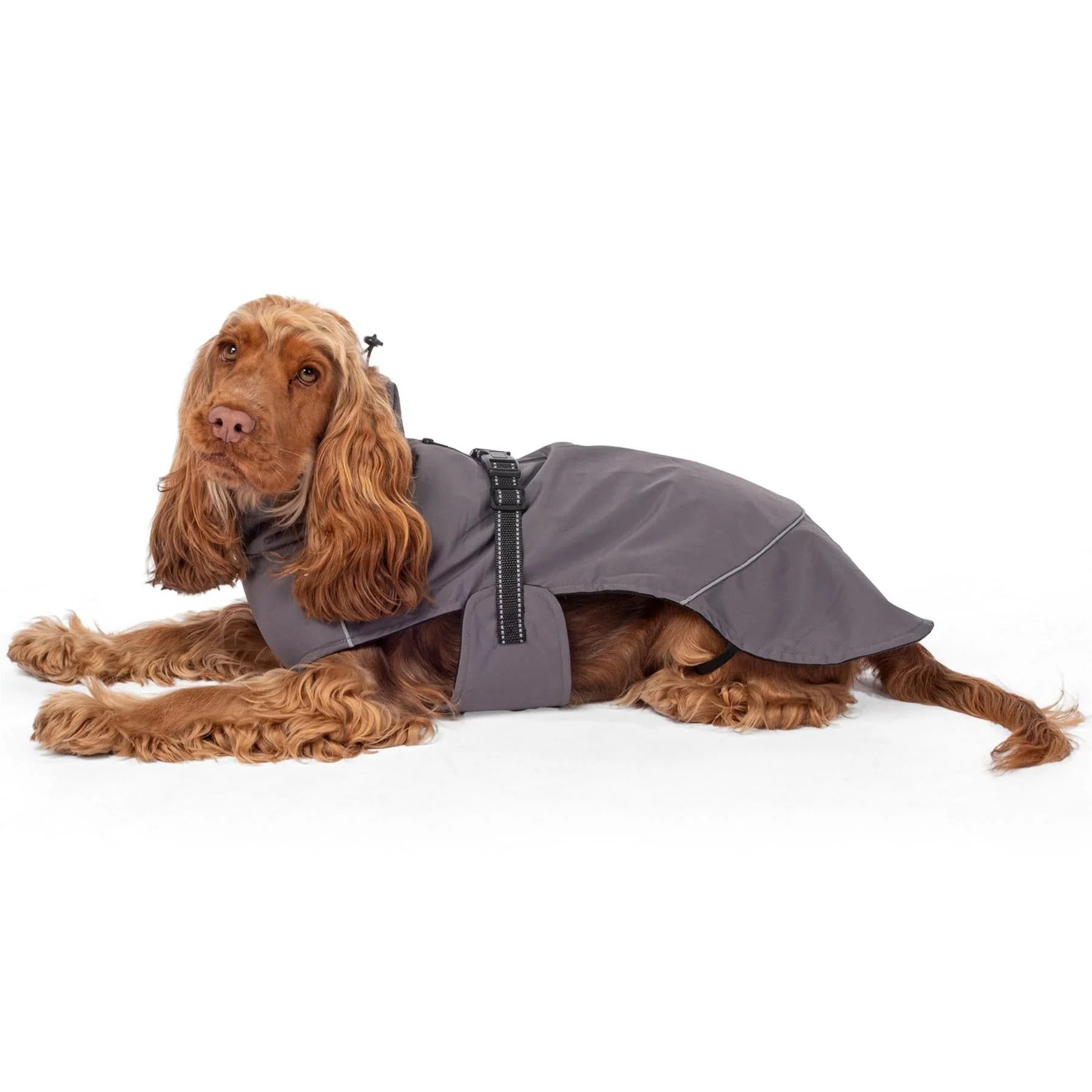 Bunty DownPaw Jacket - Image 6