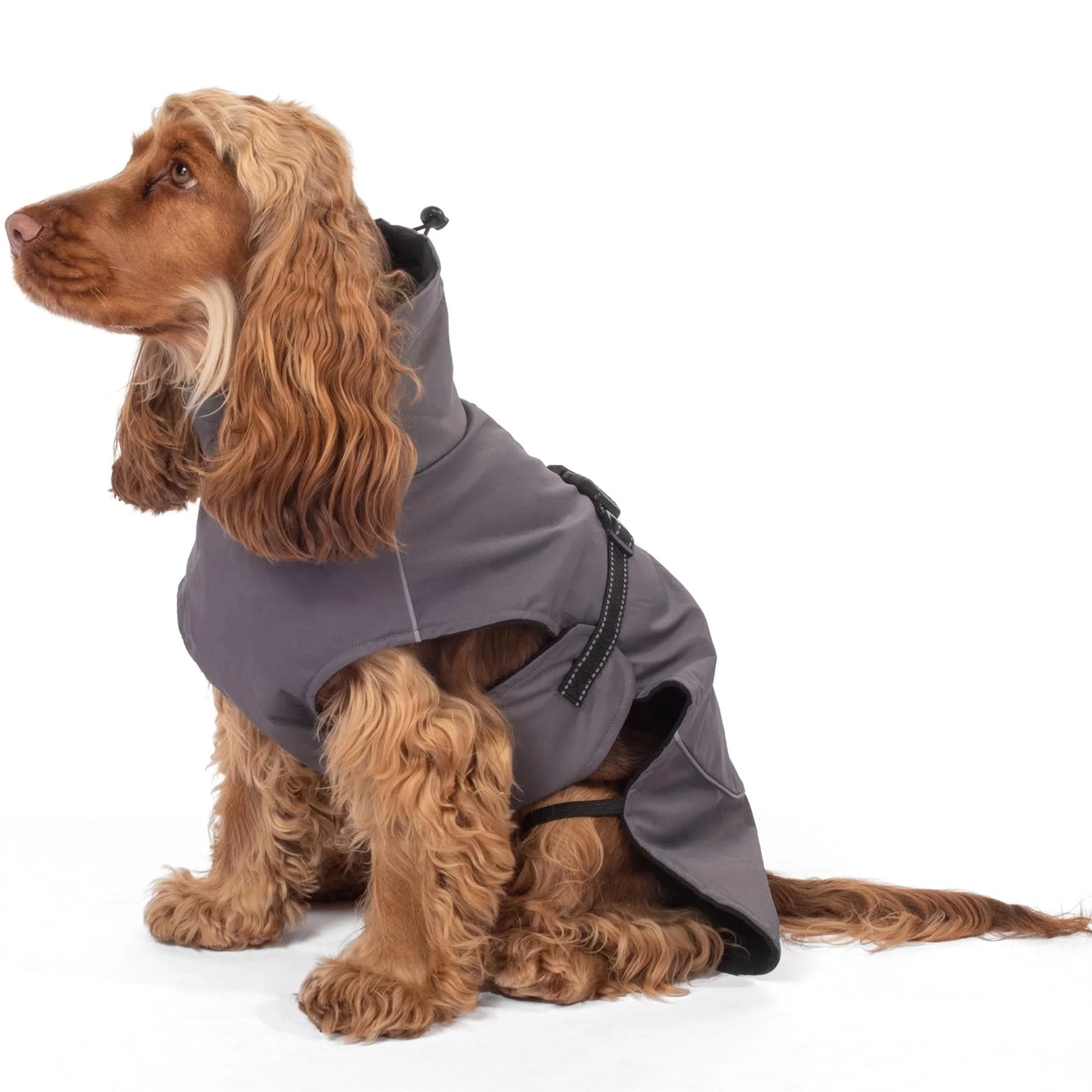Bunty DownPaw Jacket - Image 7