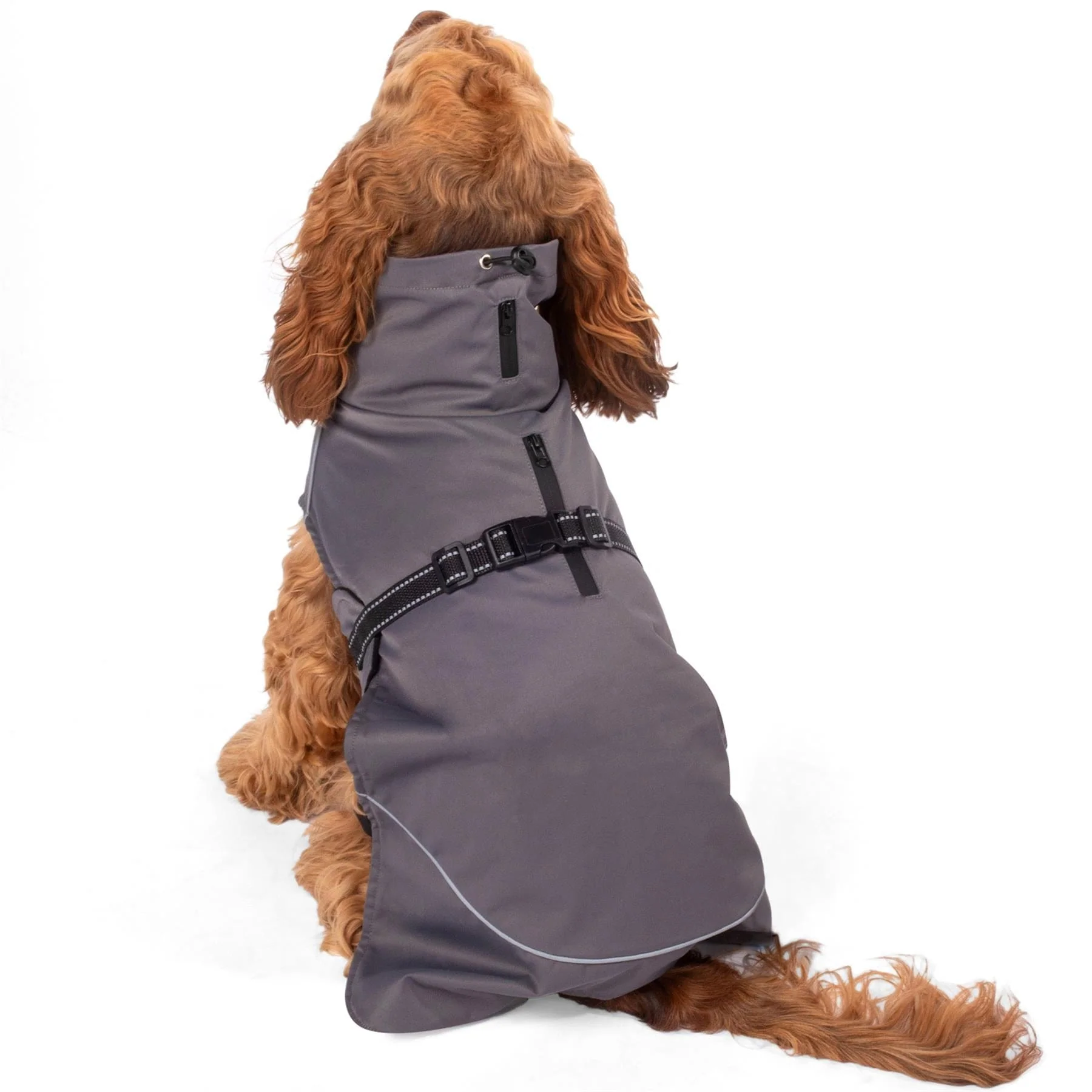 Bunty DownPaw Jacket - Image 8