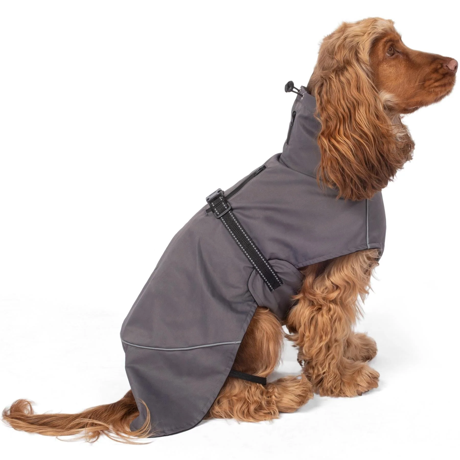Bunty DownPaw Jacket - Image 9