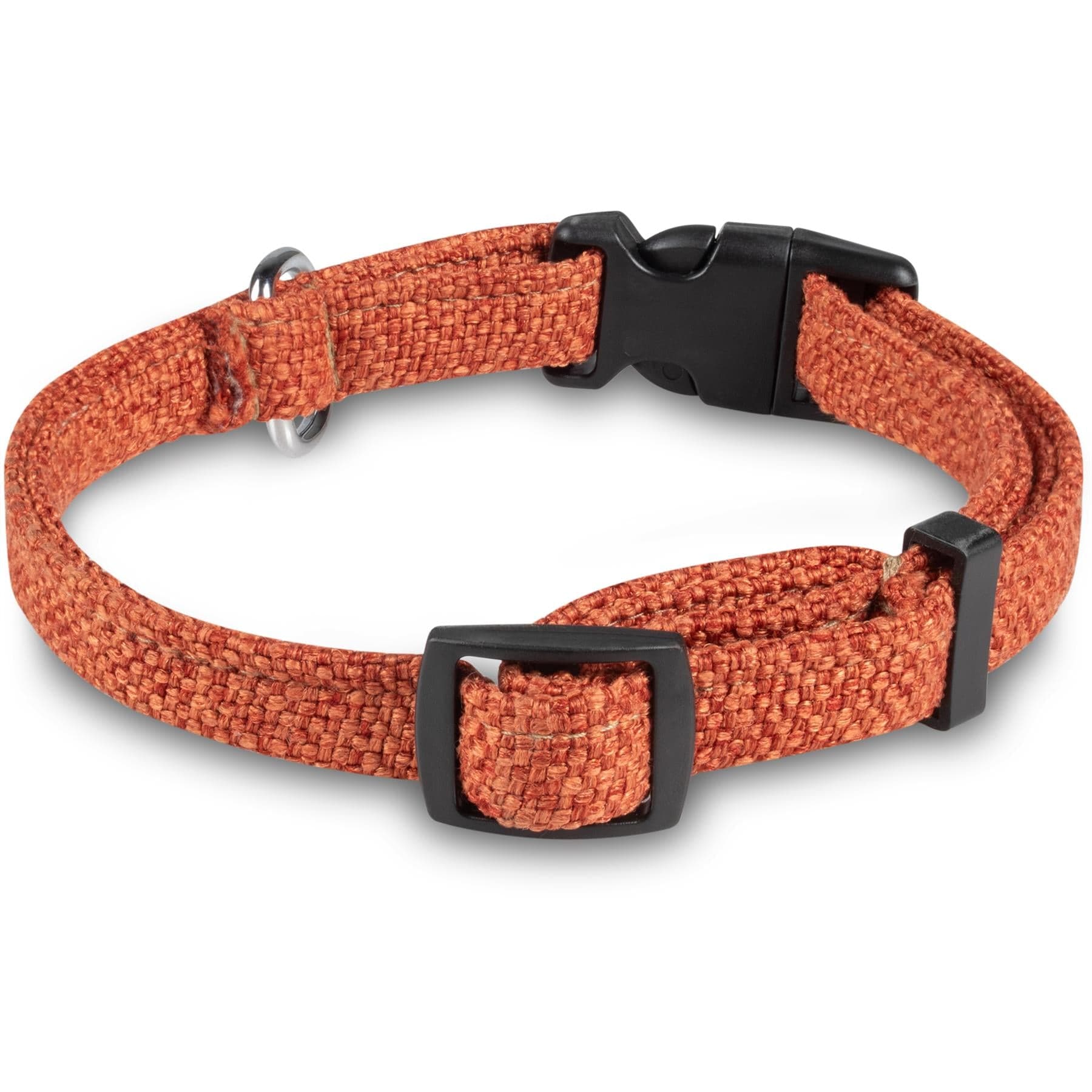 Bunty Fabric Dog Collar - Image 11
