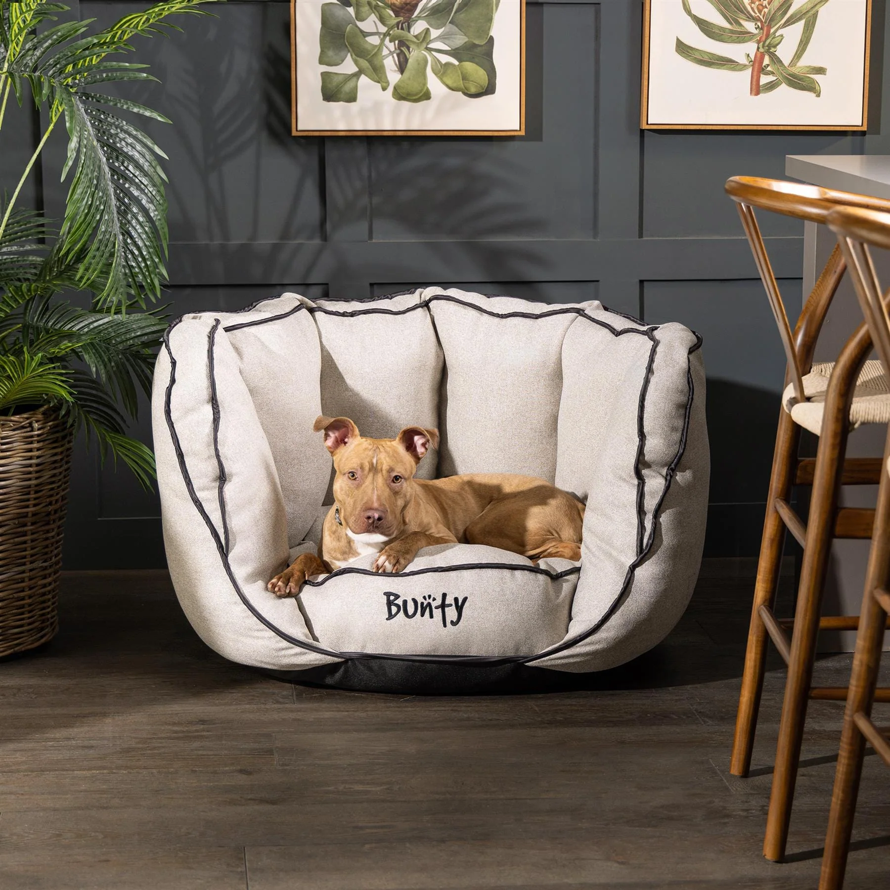 Bunty Oyster Bed - Image 6