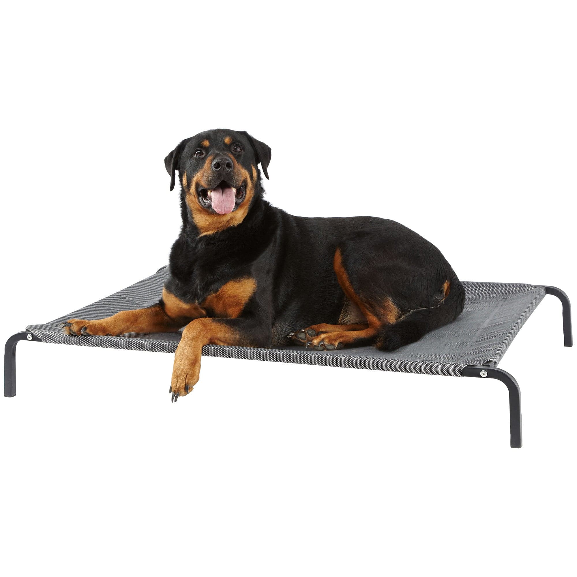 Raised Dog Bed, Elevated, Waterproof Outdoor - Bunty - Image 3