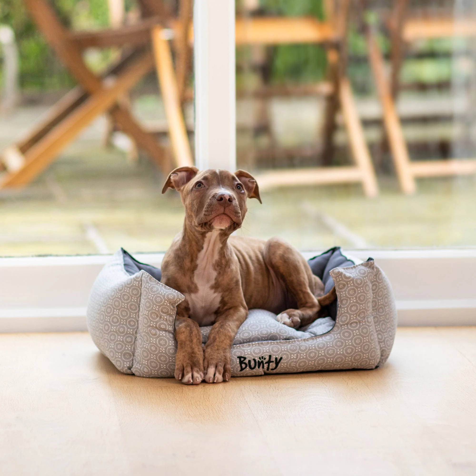 Bunty Dolly Bed - Image 3