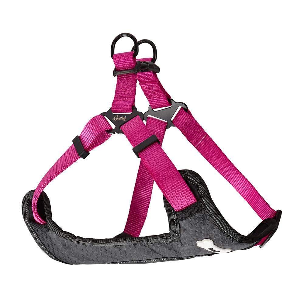 Dog Harness - Bunty Strap 'N' Stroll - Image 10