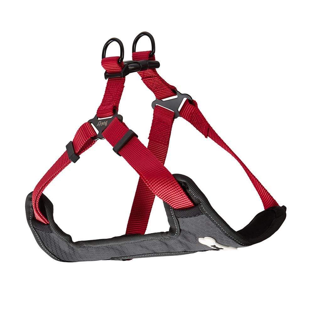 Dog Harness - Bunty Strap 'N' Stroll - Image 15