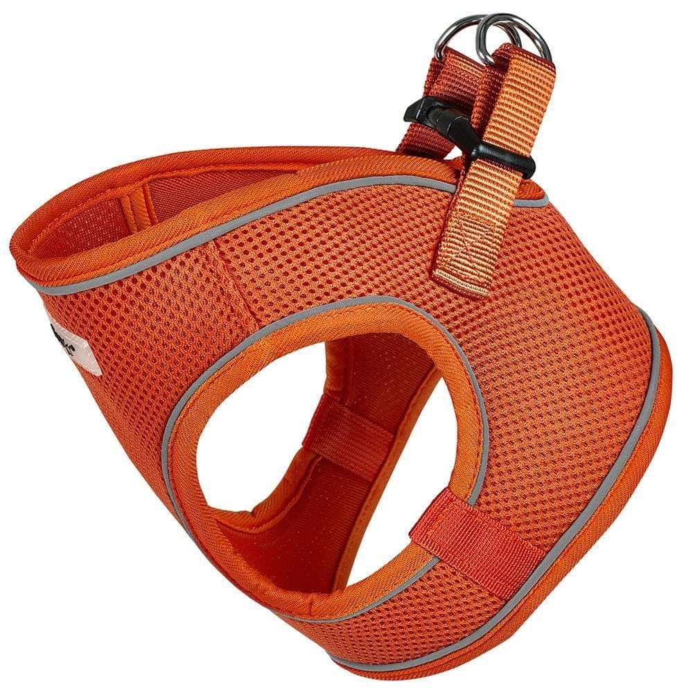 Bunty Voyage Harness - Image 4