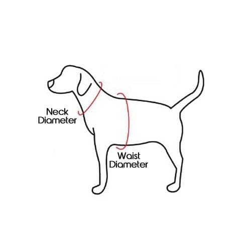 Dog Raincoat, Sherpa Fleece Jacket - Image 4