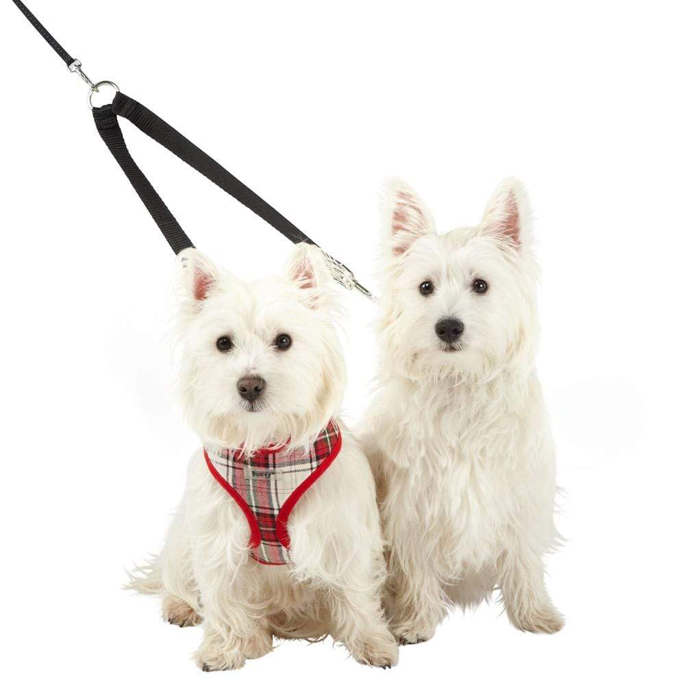 Double Dog Lead Splitter with Clip for Collar Harness - Image 8