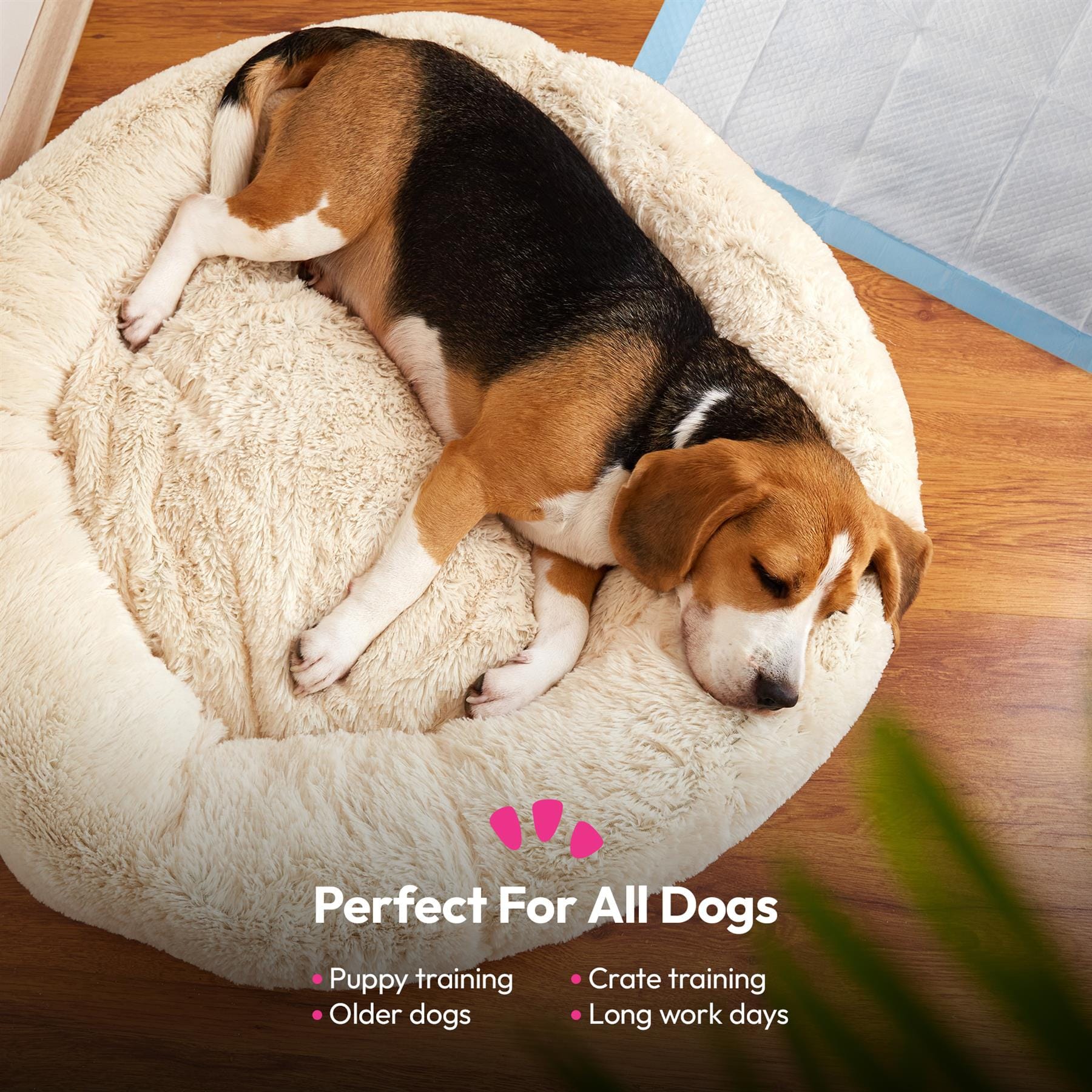 Pet Training Pads - Image 3