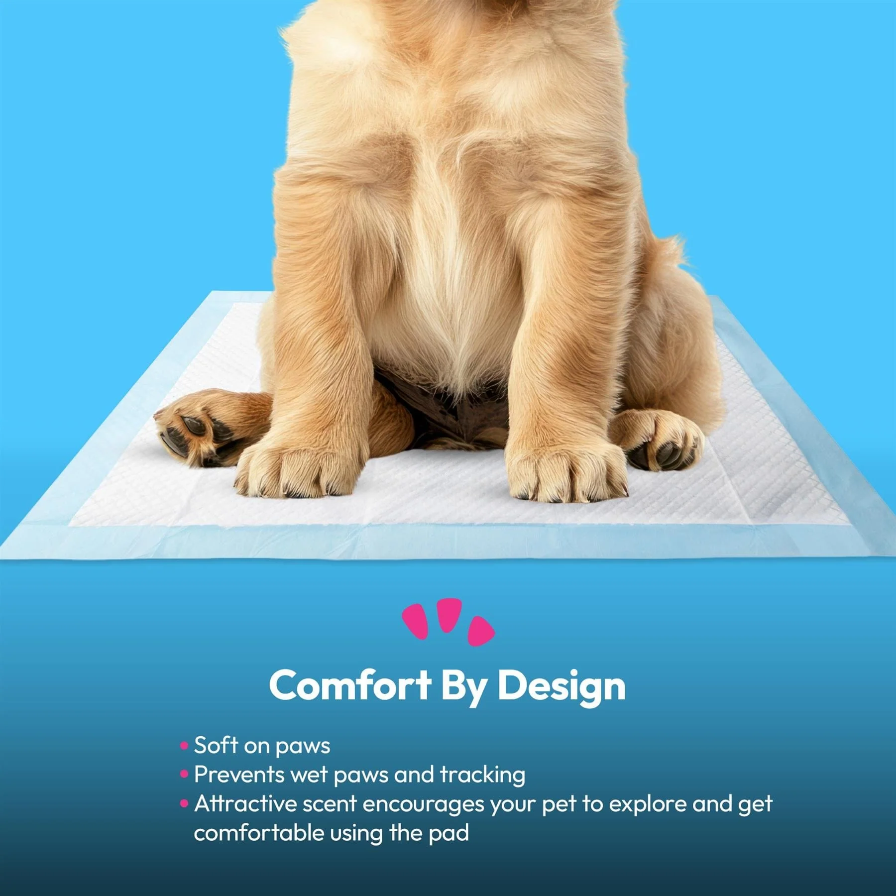 Pet Training Pads - Image 6
