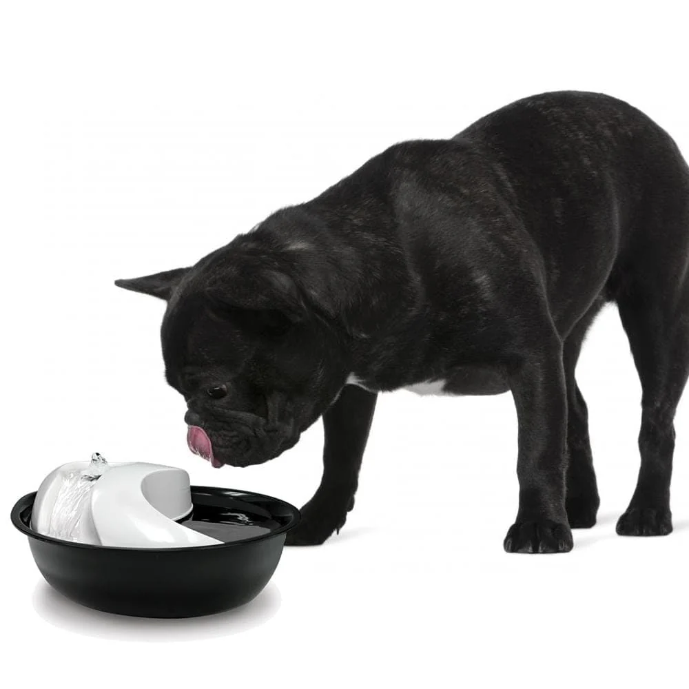 Pet Water Fountain - Image 3