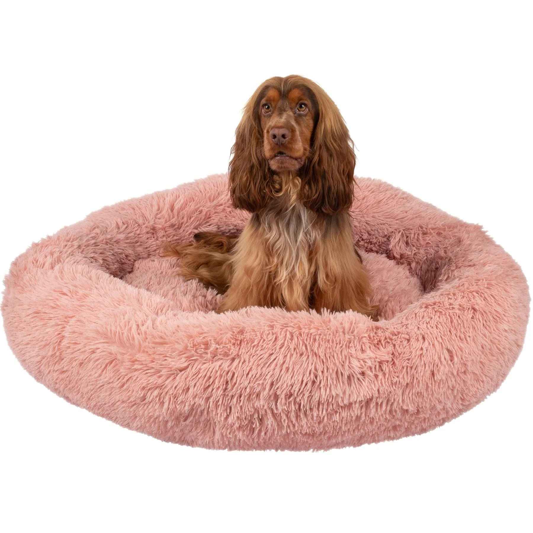 Seventh Heaven Bed - Image 4